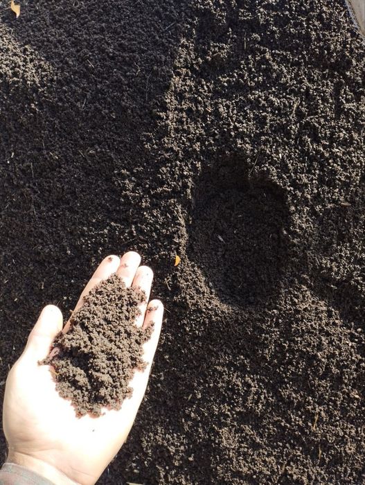 Qoplangan go'ng/копли гунг