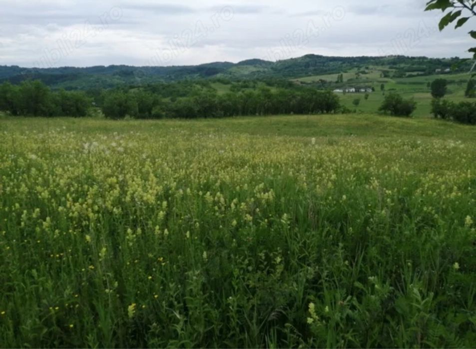 TEREN de vanzare, 4777 mp, in Posesti, judetul Prahova
