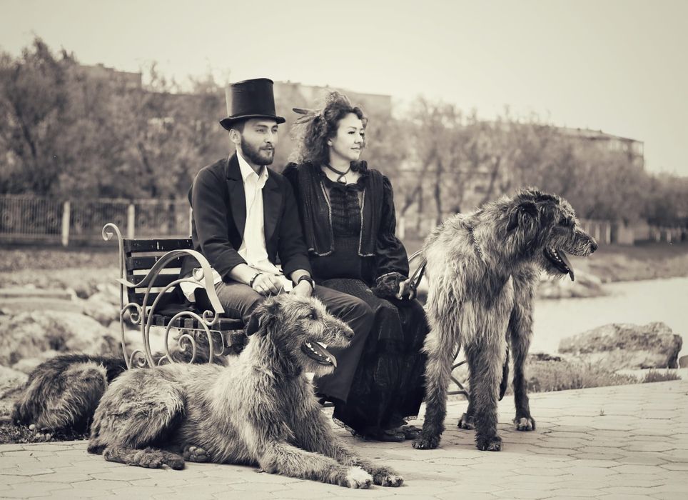 Самые красивые и большие собаки