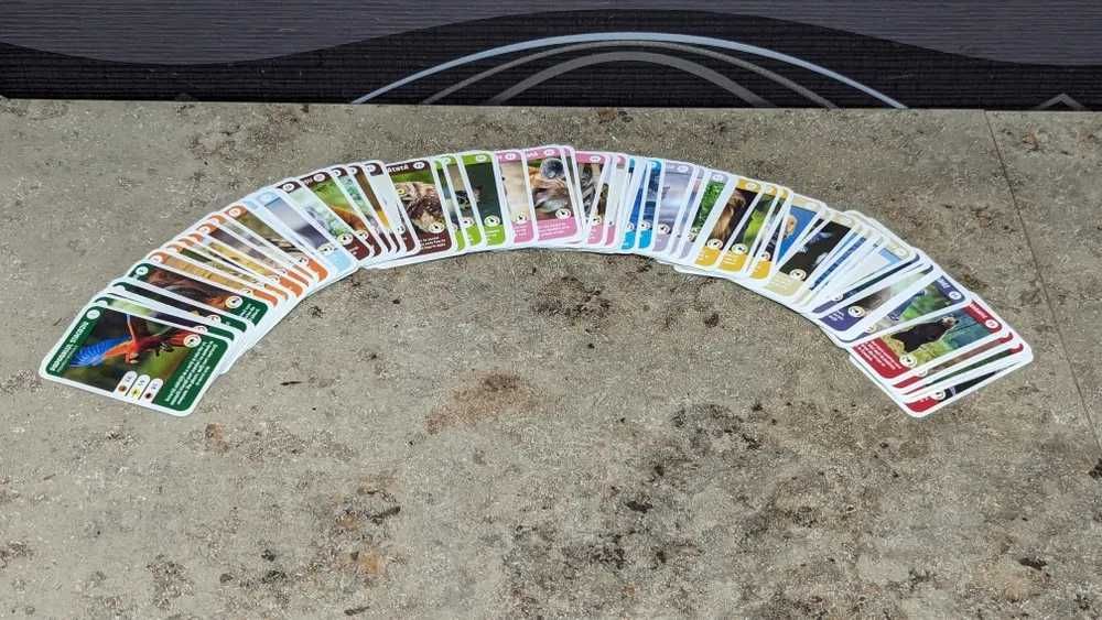 Cartonase Mega Image - Expeditie in jurul lumii 1 si 2