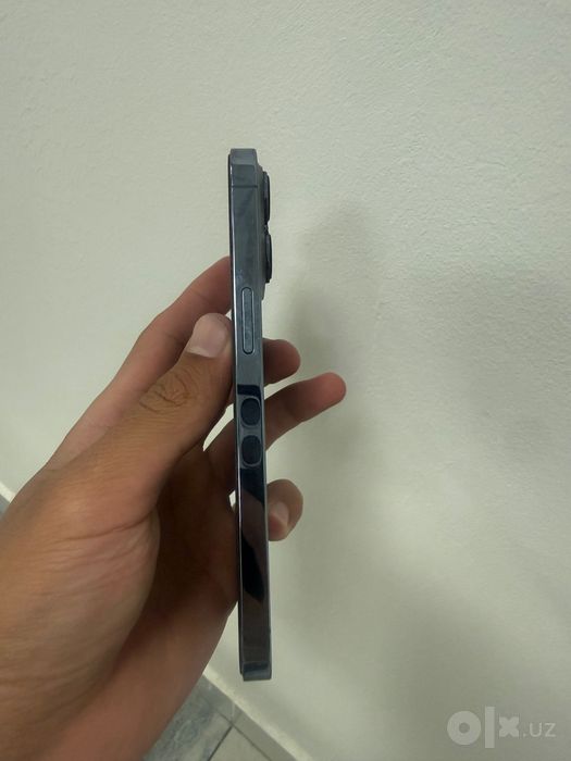 Iphone 13 pro Кук