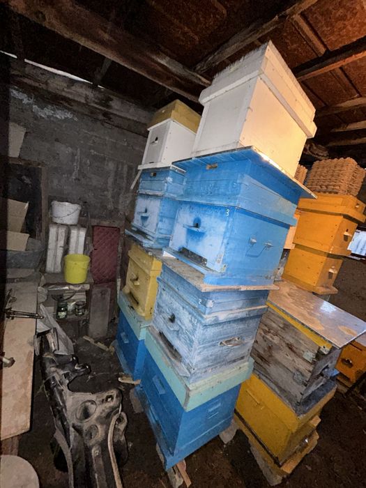 Продам улья для пчел