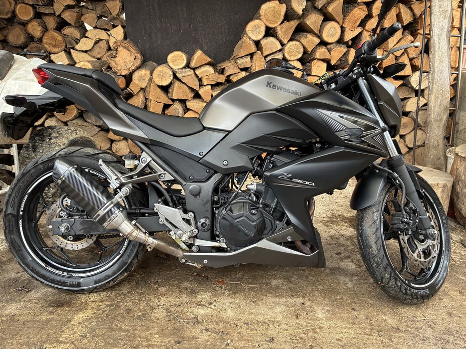 Kawasaki Z300r A2