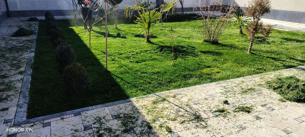 Gazon va gazonlarni olib kelib ekish, Daraxt va butalarni olib kelib e