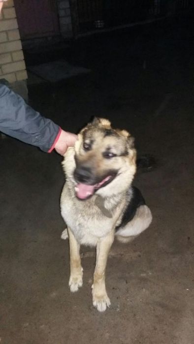 Ищем подругу ВЕО