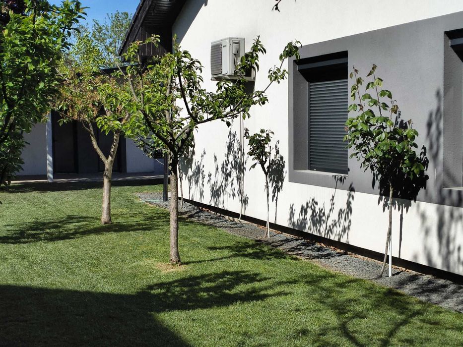 Oază de confort și eleganță în Săcălaz – Proprietate cu piscină, curte generoasă și toate facilitățile pentru o viață fără compromisuri!