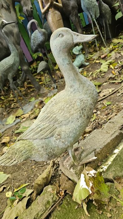 O deosebită Rată din bronz