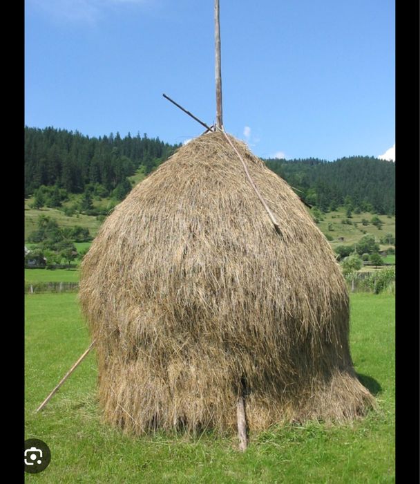 Vând lucernă (otava)