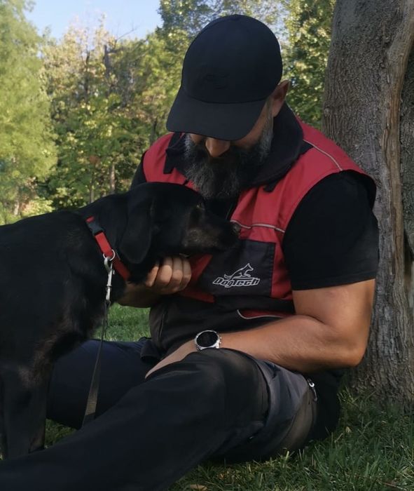Dresaj canin echilibrat pentru o conviețuire armonioasă alături de câinele tău