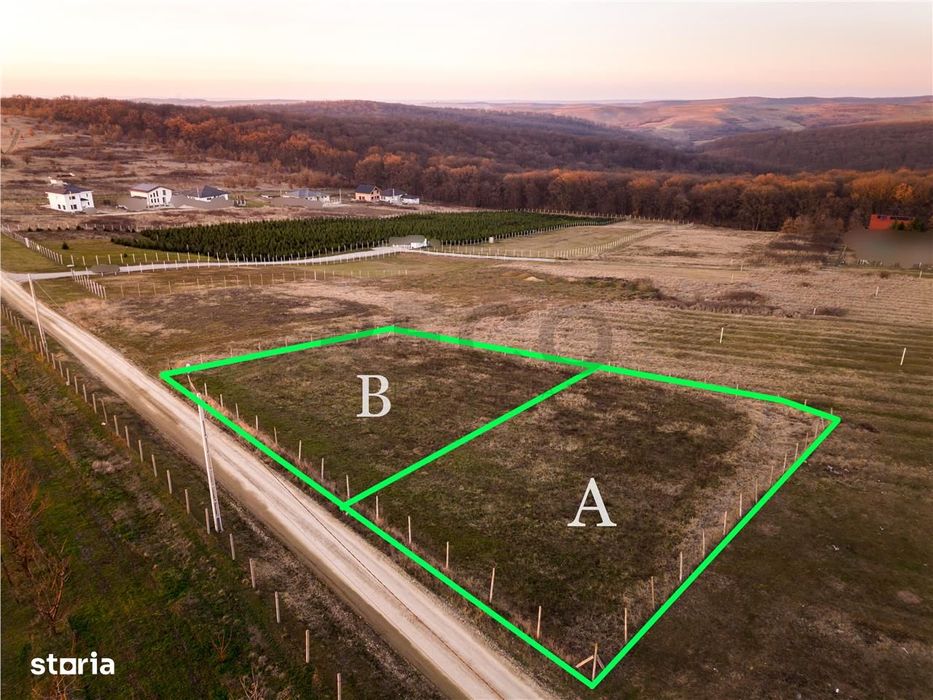 RECO Teren intravilan in Saldabagiu de Munte