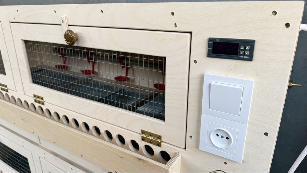 Брудер для выращивантя цыплят