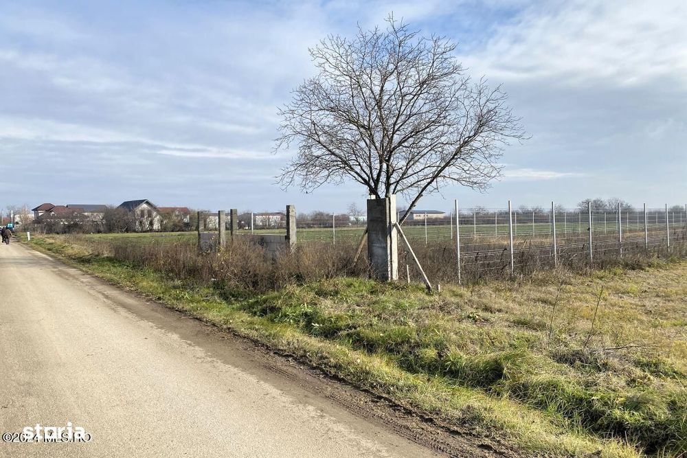 Afumati - Str. Iasomiei, 2409 MP, stradal, intravilan, deschidere 12 m