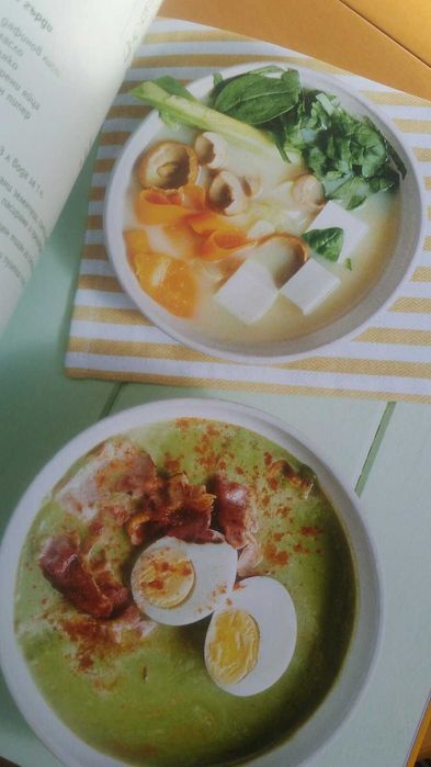 Книгата на шеф Манчев