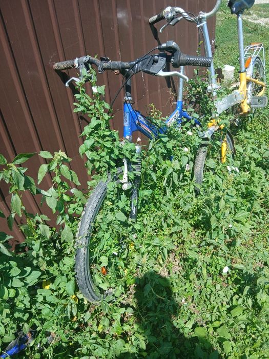 Biciclete 250 pret neg