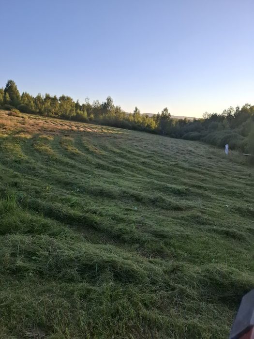 Vind  baloti de  fin rotunzi