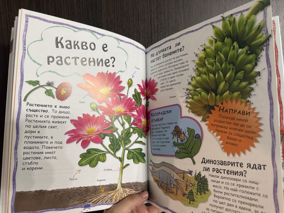 Детска енциклопедия Моите забавни книги с въпроси и отговори за почти