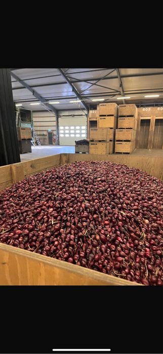 VAND ARPAGIC STUTTGARTER RIESEN 14/17 // 14/21 // 17/21 // 10/21