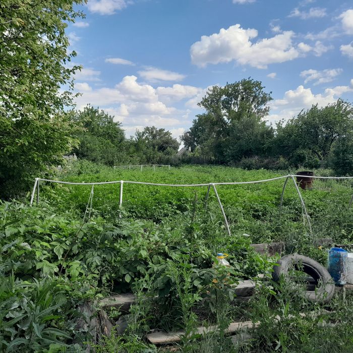 Продаётся дача в"Черёмушки "