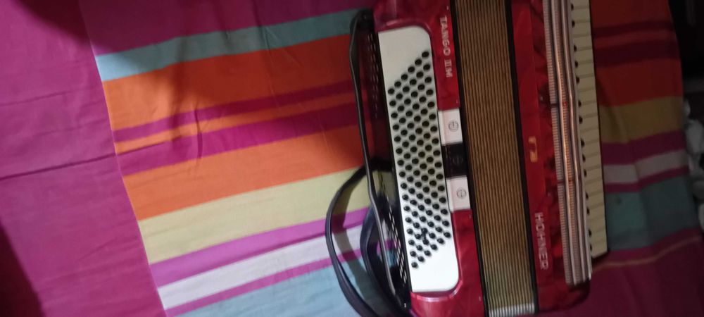 Acordeon 120 Bass