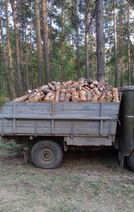 Продам дрова сосна