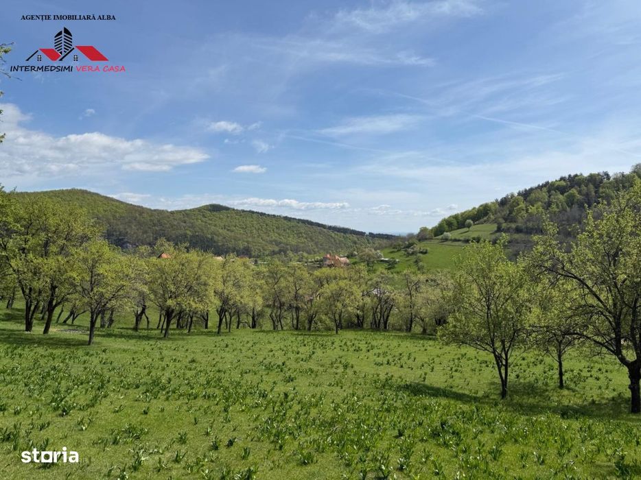 Teren intravilan 8330 mp de vanzare in Inuri Jud Alba