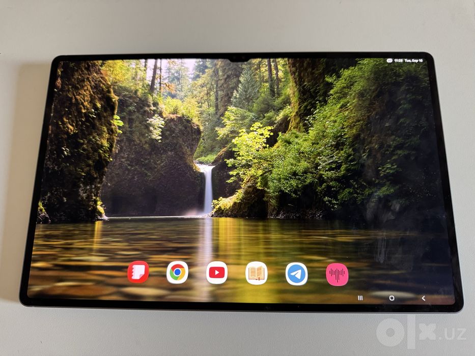 Samsung Galaxy Tab S10 Ultra 12/256