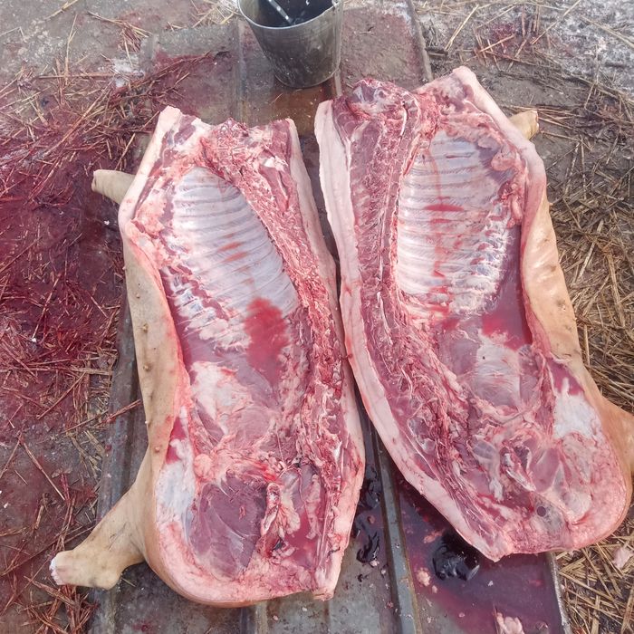 Мясо свинины местное 1500т
