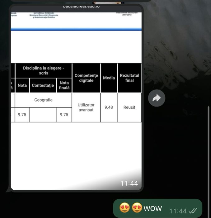 MEDITATII bac Geografie