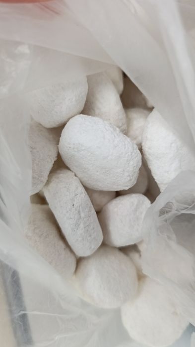 Домашний құрт ащы