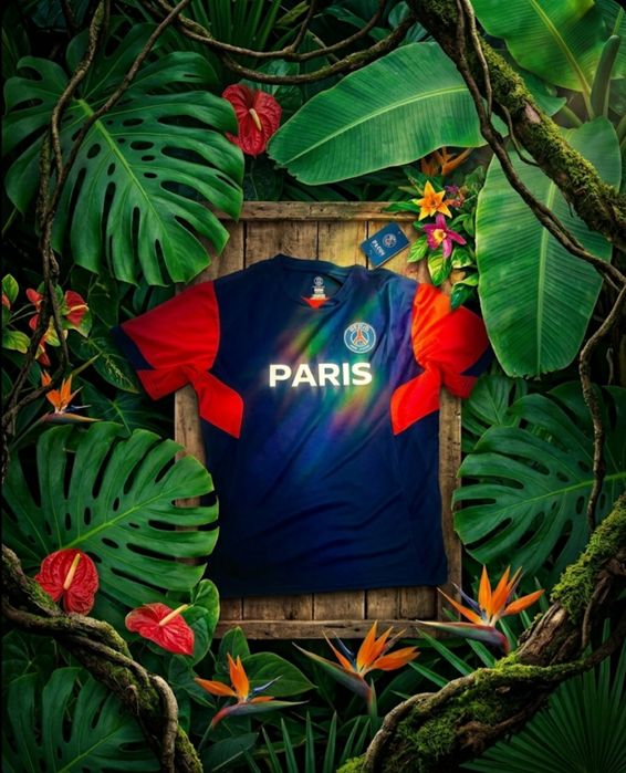 Оригинальная футболка Psg