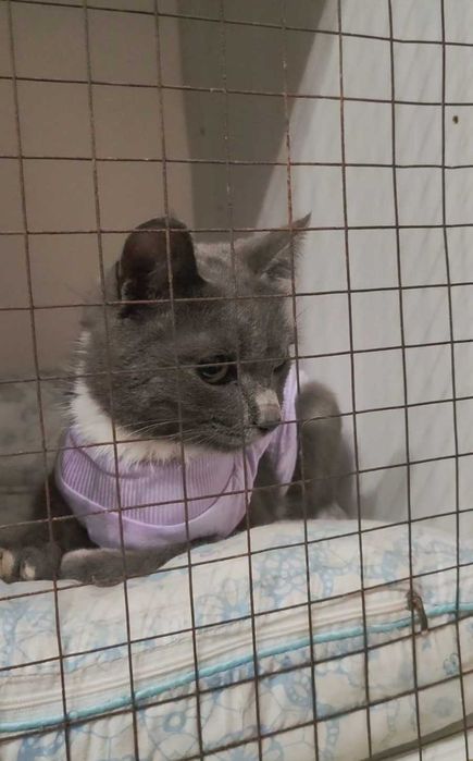 Нежная малышка ищет дом