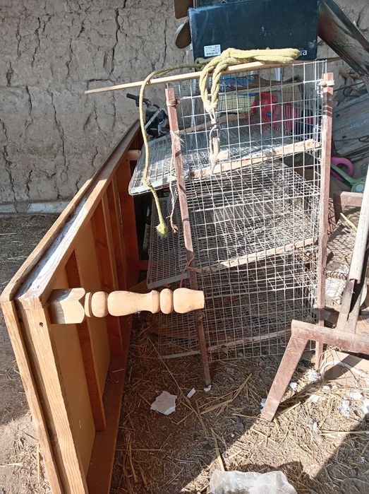 тауык пен боденеге клетка