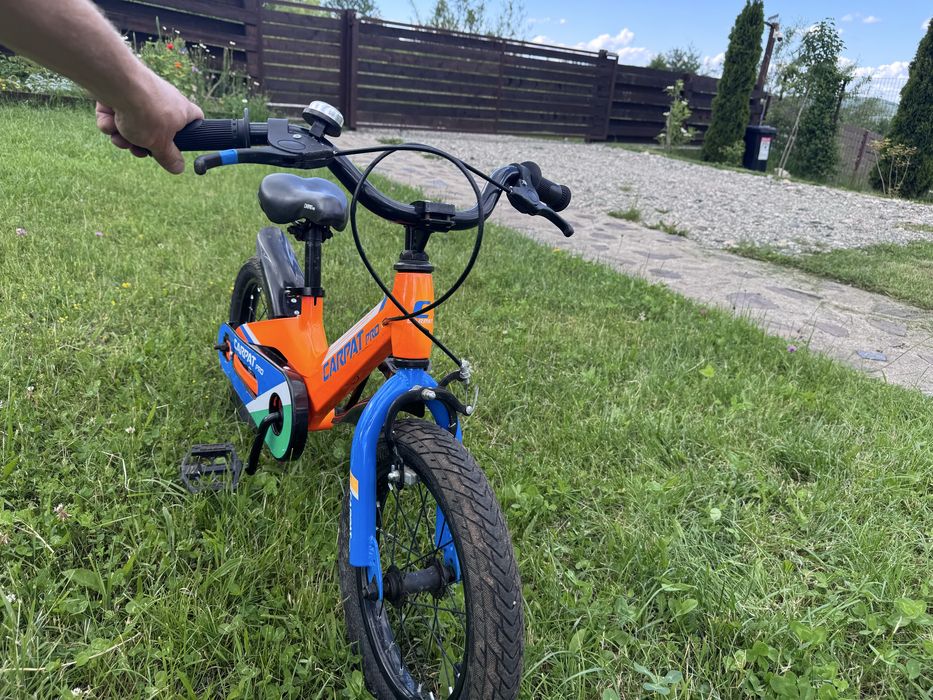 Bicicletă Carpat Pro 14”