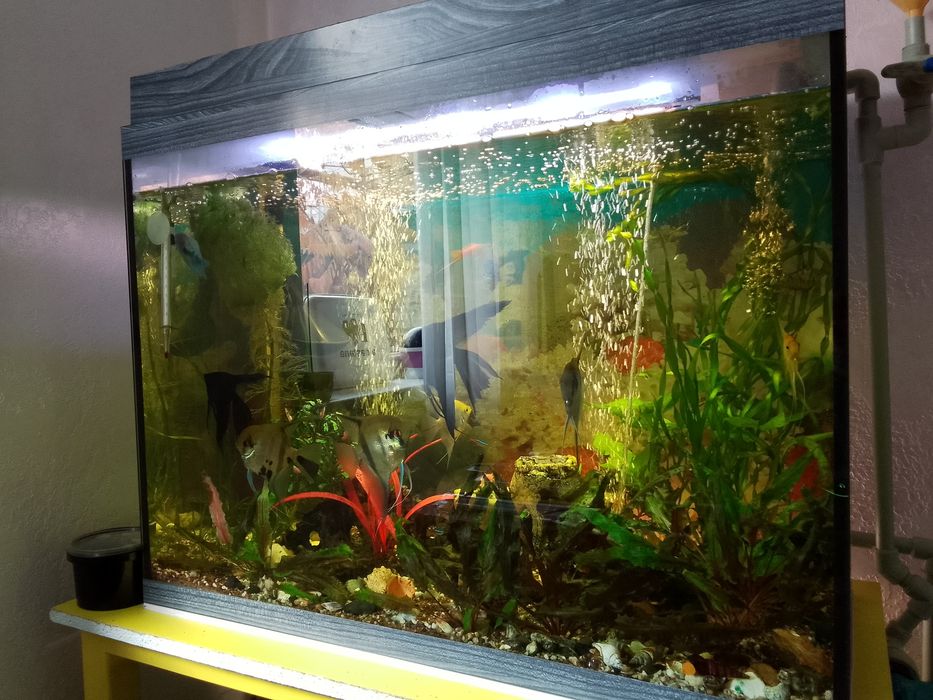 Аквариум 80/40 высота 70