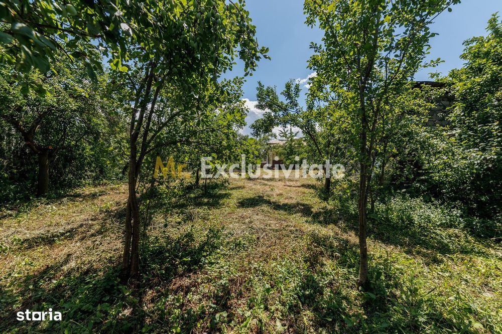 Casa cu teren - Prundu-Ideala pentru locuit sau dezvoltare imobiliara