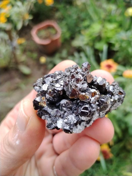 Сфалерит клеофан с кварц от Мадан