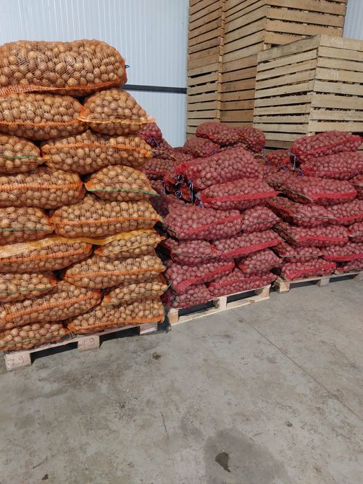 Vand cartofi samanta