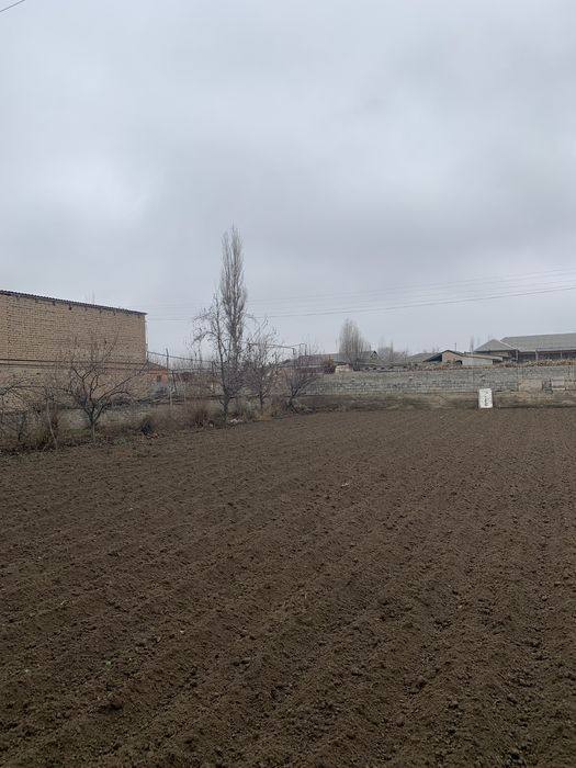 Zafar shaxarchasida yer maydoni sotiladi