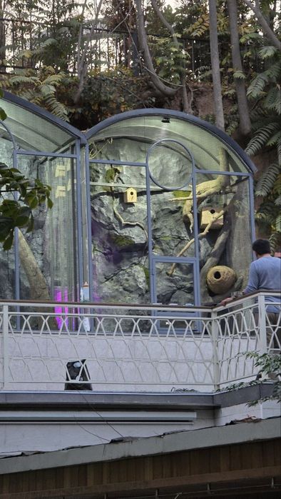 Водопад релиф вольер для животных