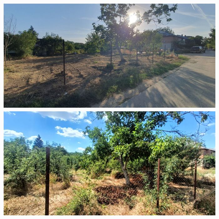 Curatare teren x Igienizare x Salubrizare curti și terenuri x Nivelare