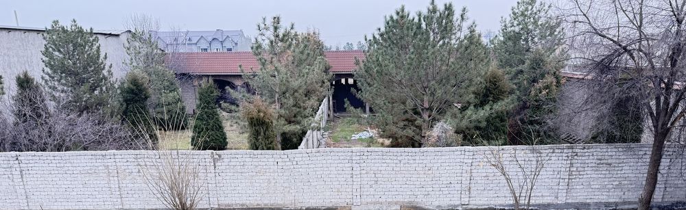 Срочно продается 2 участка по 8 соток Близнецы в.г Янгиюль  ( NOU )