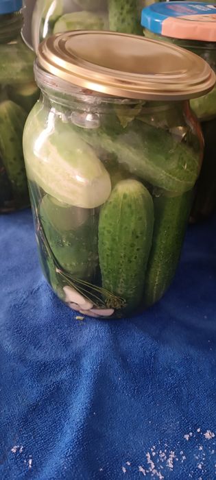 Продам соленья домашние