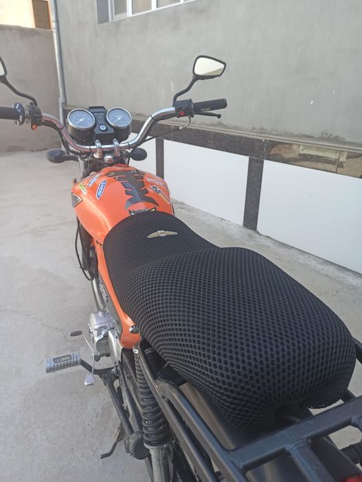 Алфа реисер 110сс