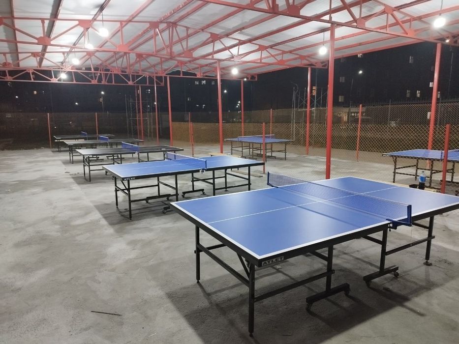 Stol tennis; ping pong