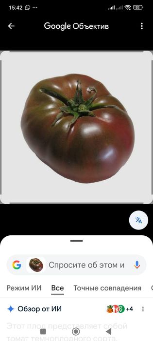 Продам рассаду сортовых помидор!*