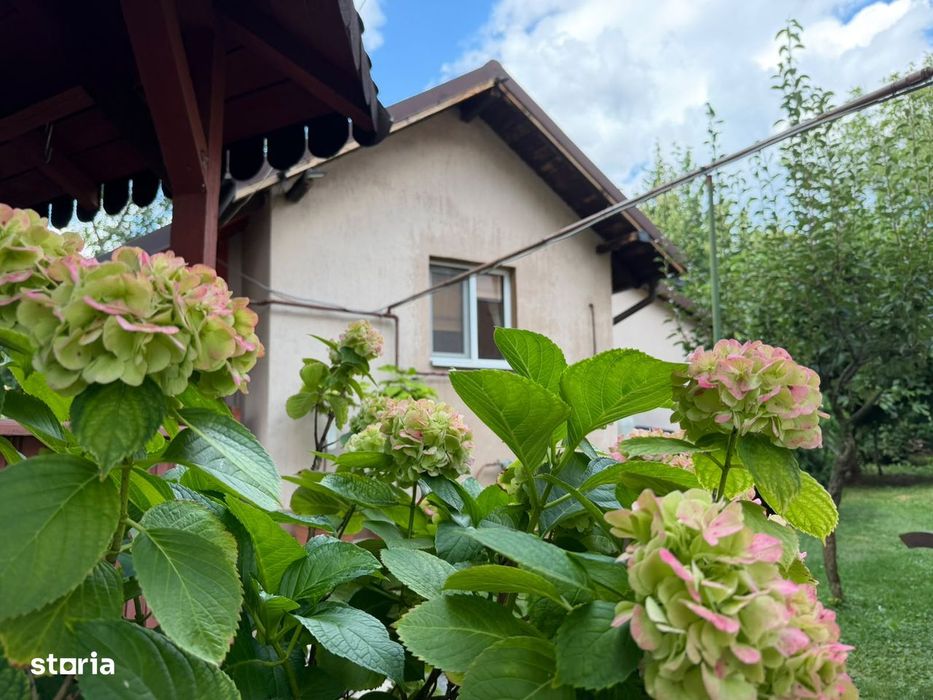 Casa langa Campina, teren 1000mp+garsoniera separata, PROPRIETAR
