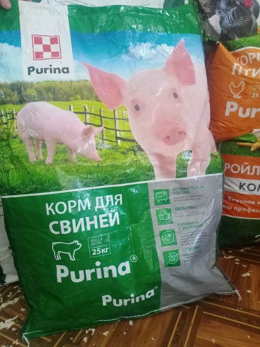 .Жангирхана. 17.