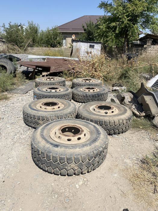Болоны в харошем состаяние