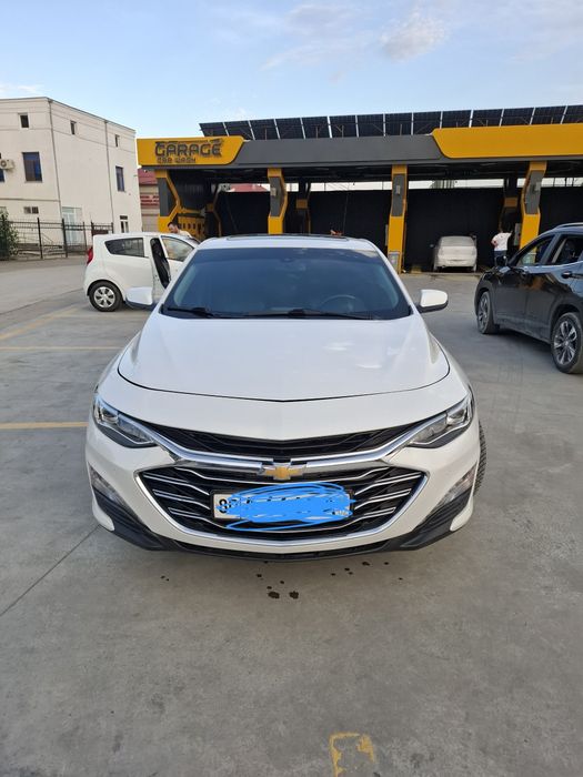 Malibu premier toza