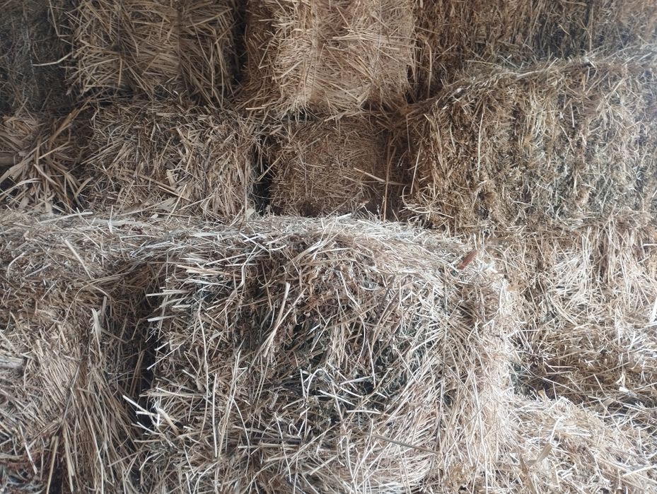 Прес шоп сатылады